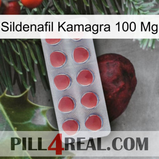 Sildenafil Kamagra 100Mg 18